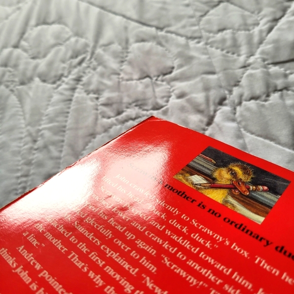 2/$15 ๐ผ Scrawny The Classroom Duck - Picture 4 of 9